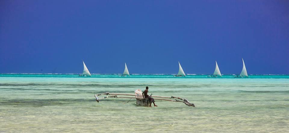 Red Monkey Beach Lodge Джамбиани Экстерьер фото